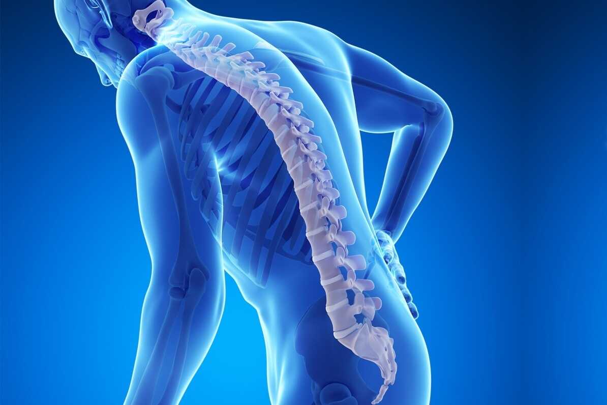 Kemik Erimesi Nedir? 