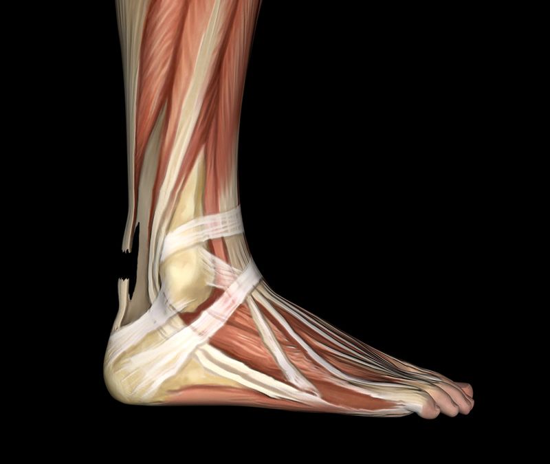 Tendon İltihabı 