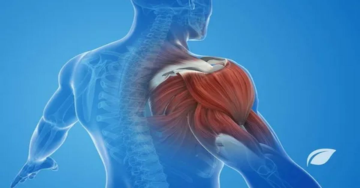 Kas Zedelenmesi Tedavisi Kas Zedelenmesi Tedavisi