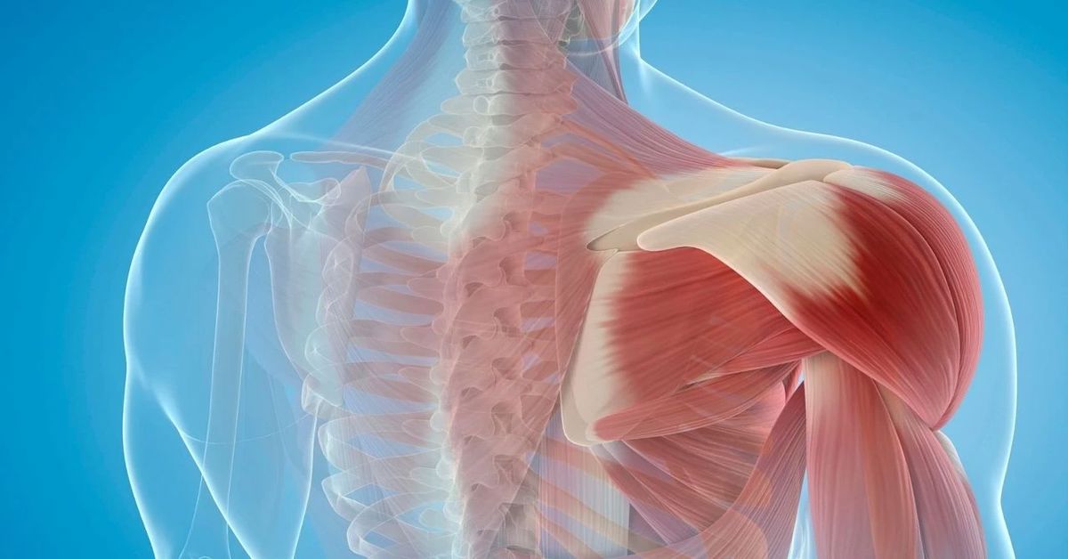 Kas Zedelenmesi Tedavisi Kas Zedelenmesi Tedavisi